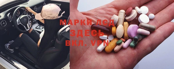 прущие грибы Абинск