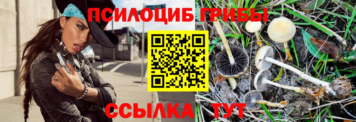 Галлюциногенные грибы Cubensis  Псилоцибиновые грибы Magic Shrooms  Топки  Вход с VPN 