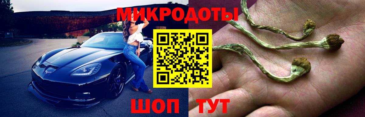 Псилоцибиновые грибы мухоморы Топки
